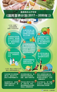 一圖讀懂國家國民營養計劃與健康咨詢服務